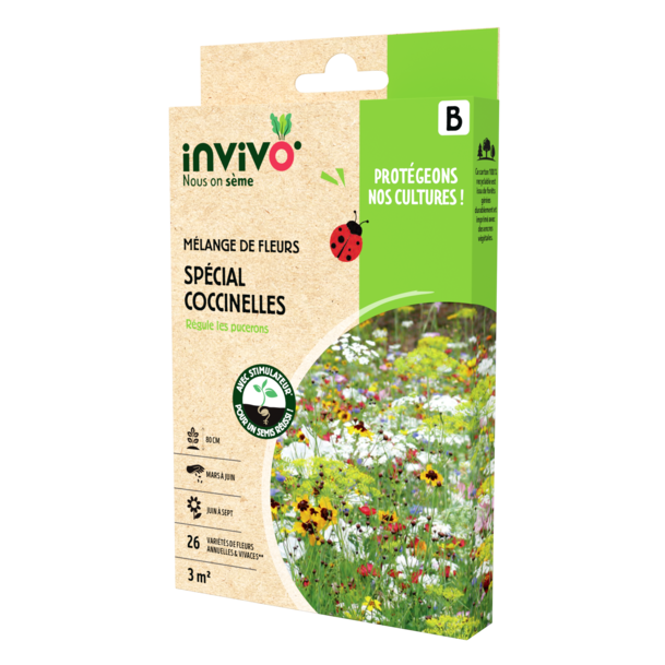 SPÉCIAL COCCINELLES