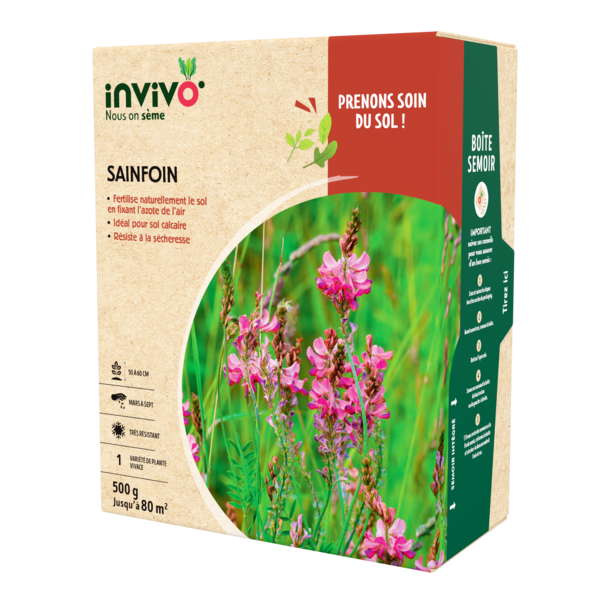 SAINFOIN